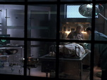 Replay Fringe