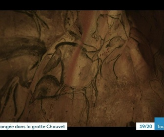 Replay Les dossiers d'ICI - DOSSIER – 30 ANS DÉCOUVERTE GROTTE CHAUVET