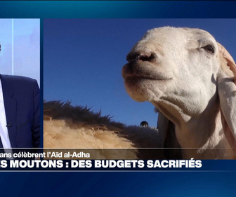 Replay Info éco - Aïd al-Adha : pourquoi le prix du mouton flambe dans plusieurs pays