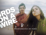 Replay Birds on a Wire - Le Chant des oiseaux