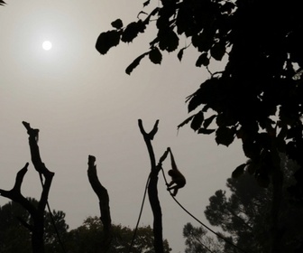 Replay Zoo: Le défi de demain - S1E3 - Hors des frontières