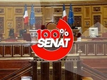 Replay 100% Sénat - Une table ronde sur l'éco-anxiété organisée au Sénat