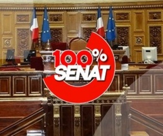 Replay 100% Sénat - Guerre commerciale : quel impact sur les entreprises françaises ?