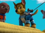 Replay Paw Patrol, la Pat'Patrouille - La Grande Course