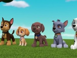 Replay Paw Patrol, la Pat'Patrouille - Galinetta pilote un avion