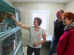 Replay Animaux à adopter - Effy, Gazly et Cristy