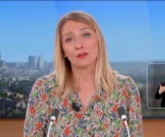 Replay Le JT en LSF - JT en LSF - Le 09/04/2025 - Le 11h/13h