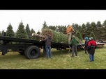 Replay Sapin de Noël de la Maison Blanche : un sapin du Michigan remporte le concours national