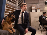 Replay Hudson et Rex - 15/06/2026