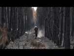 Replay Feux de forêt en Europe : la Grèce lutte encore, nouveaux foyers en Espagne