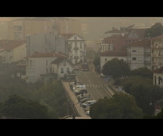 Replay Portugal : scènes de dévastation après l'arrêt de l'incendie à Albergaria-a-Velha