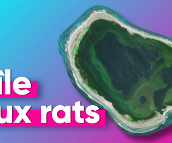Replay Top Info - Rats, cocaïne et sable fin : l'étonnante île française de Clipperton