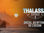 Replay Thalassa, aventures extrêmes - 01/06/2026