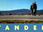 Replay Tandem