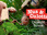 Replay Nus & culottés