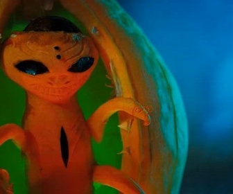 Incroyables citrouilles replay