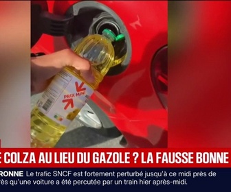 Replay BFM Première - Carburants: des automobilistes se tournent vers l'huile de colza pour remplacer le gazole
