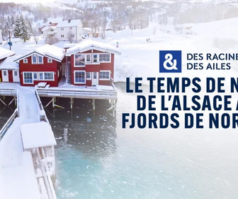 Replay Des Racines et Des Ailes