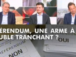 Replay DébatDoc - À quand le retour du référendum ?