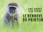 Replay Une année sur terre - 19/05/2026