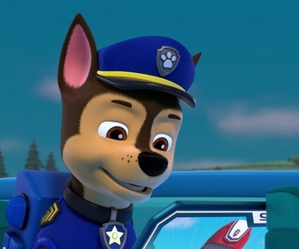 Replay Paw Patrol, la Pat'Patrouille - Au secours de Ryder