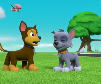 Replay Paw Patrol, la Pat'Patrouille - La ruée vers l'or