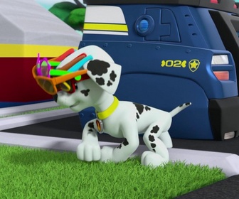 Replay Paw Patrol, la Pat'Patrouille - La Fête avec les Chauves-Souris