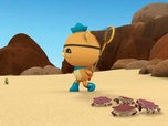 Replay Les Octonauts et les crabes rouges