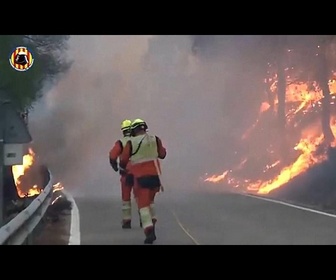 Replay Un vaste incendie dans la région de Valence ravage 690 hectares après l'été le plus chaud d'Espagne