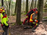 Replay Bûcheron, un métier à hauts risques - Bûcherons de haut vol