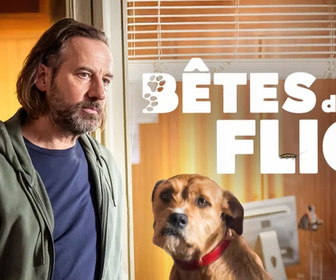 Replay Bêtes de flic