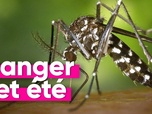 Replay Top Info - L'épidémie de Chikungunya frappe la Réunion, peut-elle arriver en métropole ?