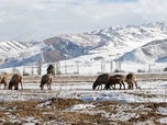 Replay Urgence climatique : un défi mondial - Dérèglement climatique : des lacs artificiels au Kirghizstan