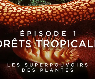 Replay Les superpouvoirs des plantes - 02/03/2026