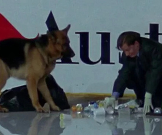 Replay Rex, chien flic - Peur sur la ville