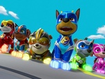 Replay Paw Patrol, la Pat'Patrouille - La Super Patrouille, Puissance Maximale : les clones de M. Hellinger
