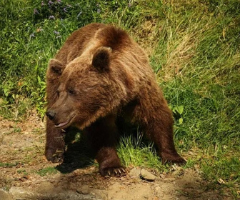 Replay Roumanie, le charme des Balkans