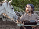 Replay Oscar ou l'art d'apprivoiser les chevaux - GEO Reportage