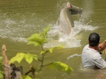 Replay Pêche XXL - S1E3 - Les dinosaures de l'Amazone