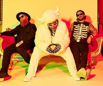 Replay Summer Breeze 2026 - Skindred