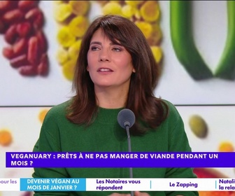 Replay Estelle Midi - 100 milliards d'€/an : faut-il supprimer les niches fiscales ?