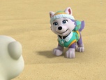 Replay Paw Patrol, la Pat'Patrouille - L'oursonne polaire