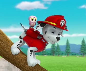 Replay Paw Patrol, la Pat'Patrouille - Le collier porte-bonheur