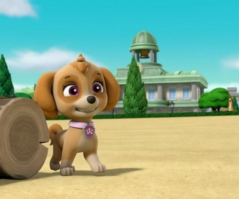 Replay Paw Patrol, la Pat'Patrouille - Yoga à la ferme