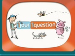 Replay 1 jour, 1 question - 13/06/2026