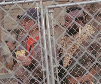 Replay Agence tous risques - S4 E12 - Prudence les enfants