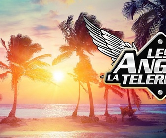 Replay Les anges de la téléréalité - S11 E51