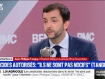 Replay Face à Face - Pesticides: Jean-Philippe Tanguy (RN) dénonce un gouvernement de gros lâches