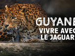 Replay Outremer.ledoc - Guyane, vivre avec le jaguar