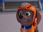 Replay S00 E58 - Compilation Paw Patrol, la Pat'Patrouille 58